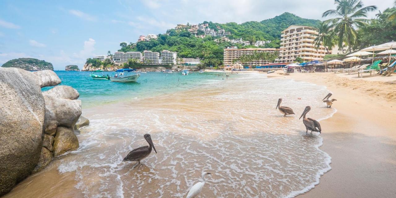 Departamento A 5 Minutos De Playa Mismaloya, 푸에르토 발라타 외부 사진